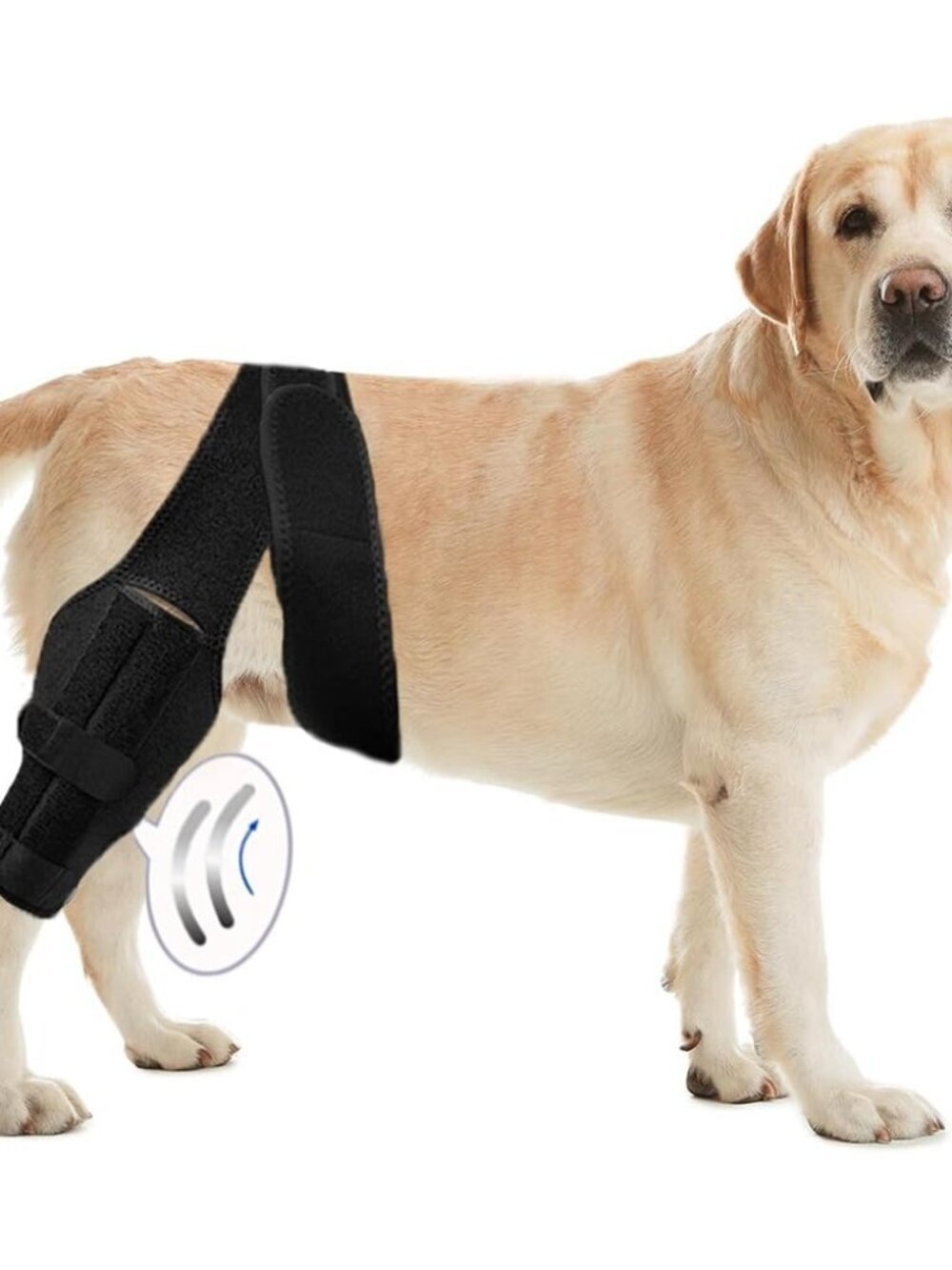 *Tinzum M Dog Leg Braces for Back Leg Support Cruciate Ligament Injury-Torn Acl